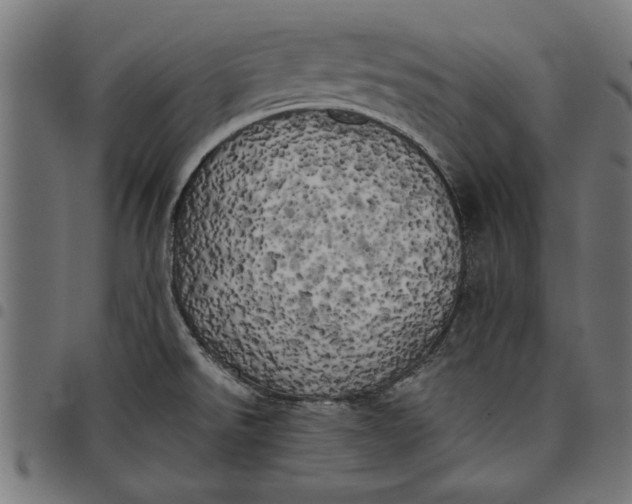 X0000097811526200803281046