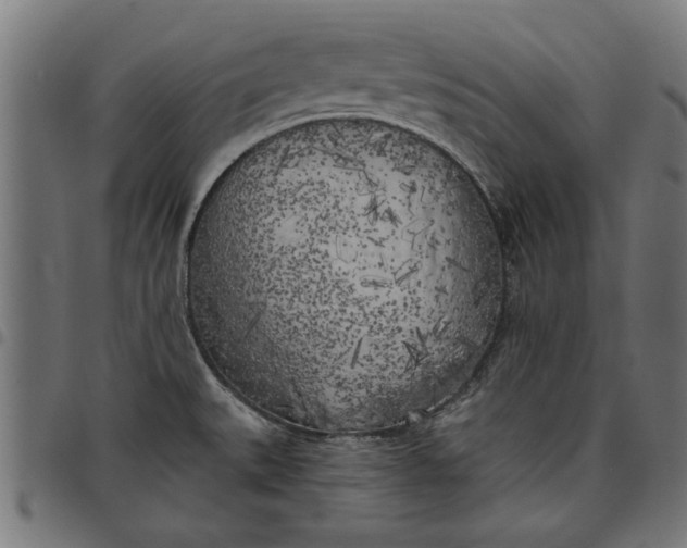 X0000097811527200803281046