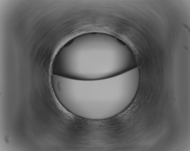 X0000097811528200803281046