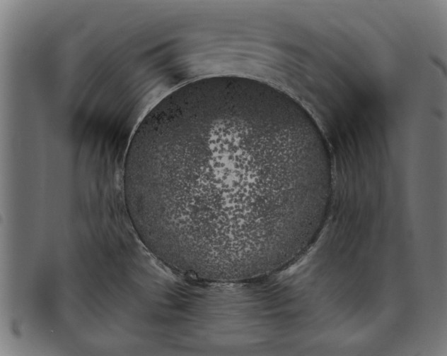 X0000097811529200803281046