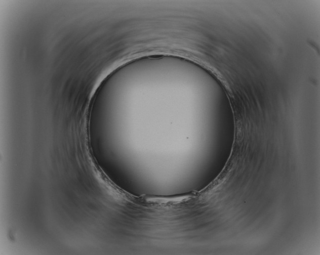 X0000097811530200803281046