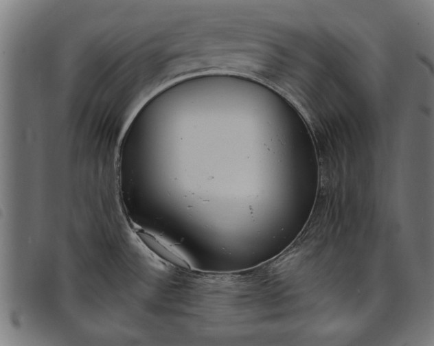 X0000097811532200803281046