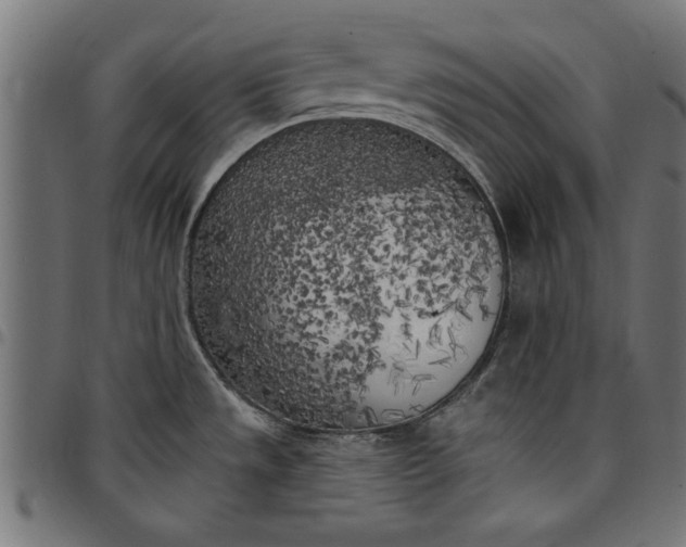 X0000097811533200803281046