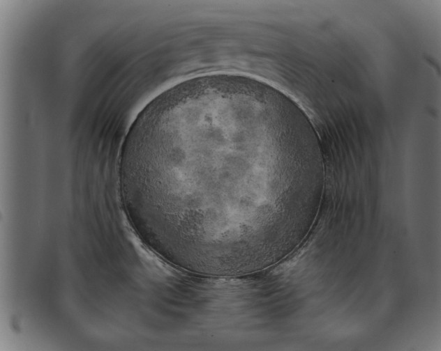 X0000097811534200803281046