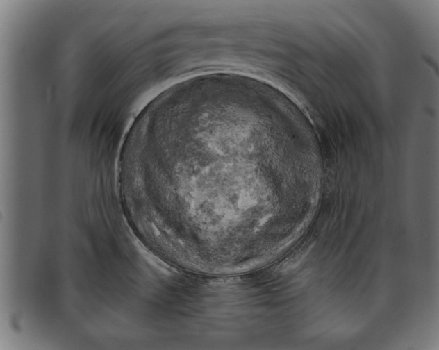 X0000097811535200803281046