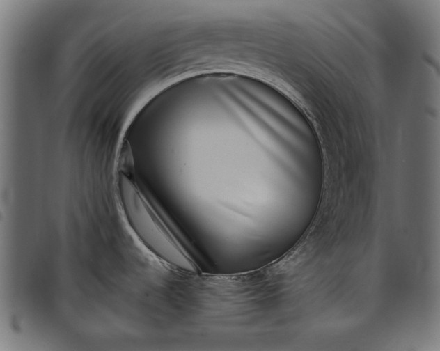 X0000097811536200803281046