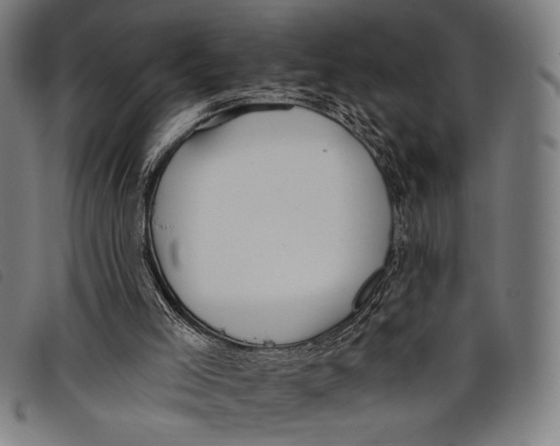 X0000097810005200804041347