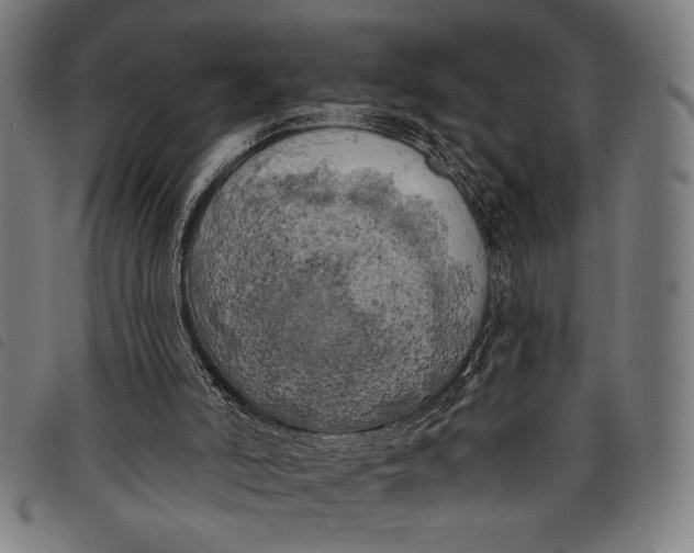 X0000097810006200804041346