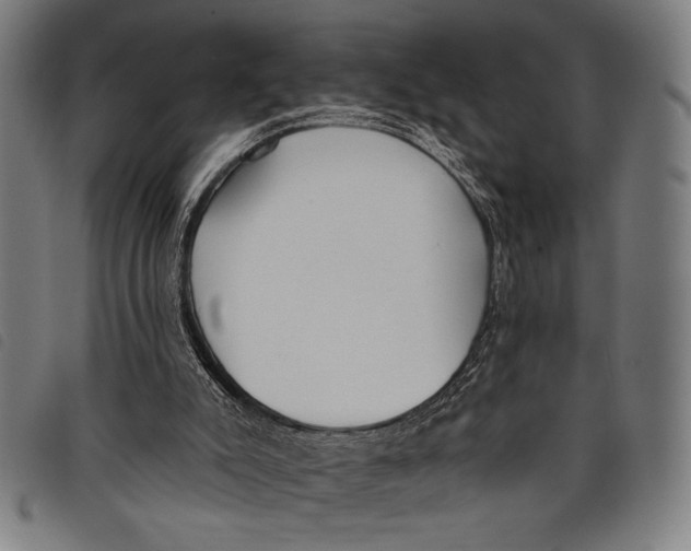 X0000097810007200804041346