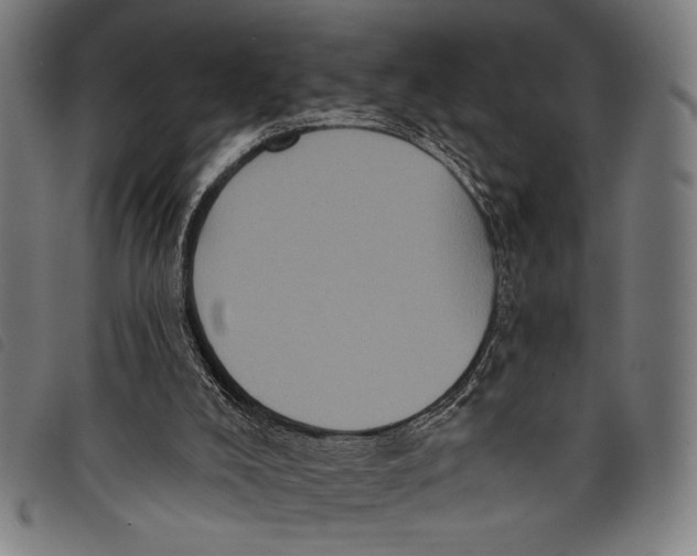 X0000097810008200804041346