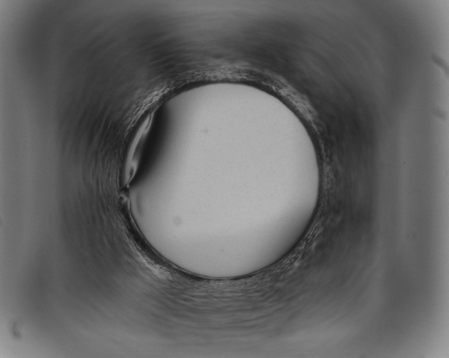 X0000097810009200804041346