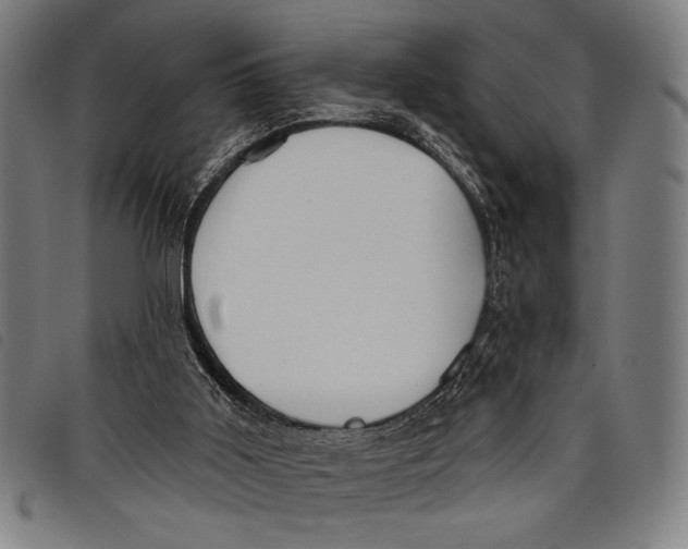 X0000097810011200804041346