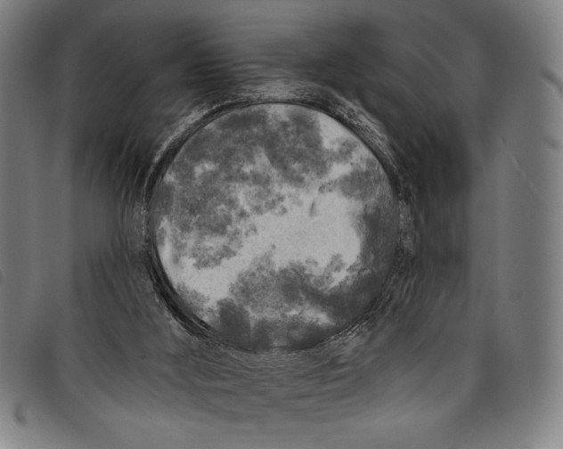 X0000097810012200804041346