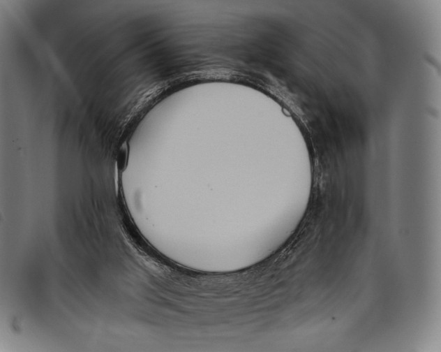 X0000097810013200804041346