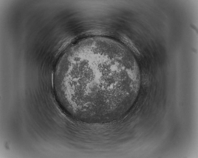 X0000097810014200804041346