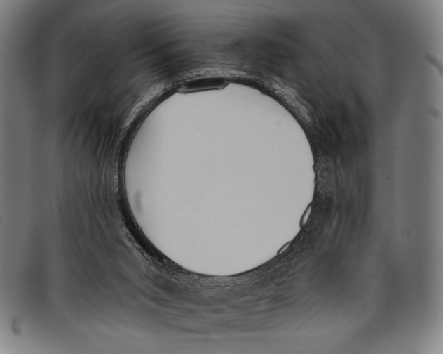 X0000097810015200804041346