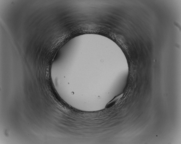 X0000097810017200804041346