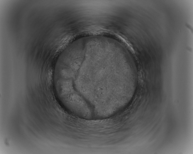 X0000097810018200804041346