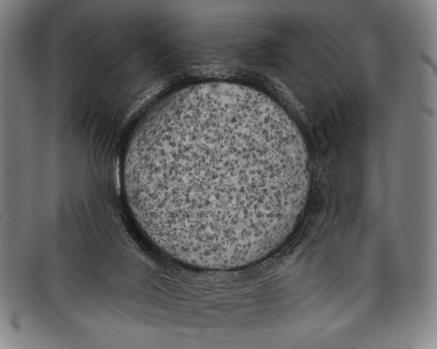 X0000097810020200804041346