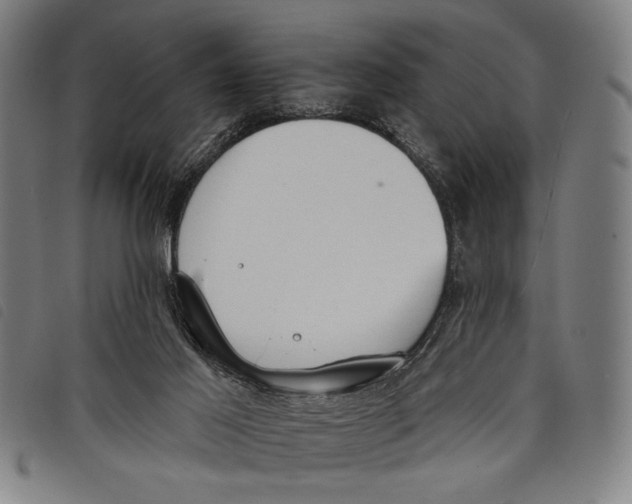 X0000097810021200804041346