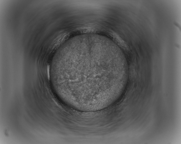 X0000097810022200804041346