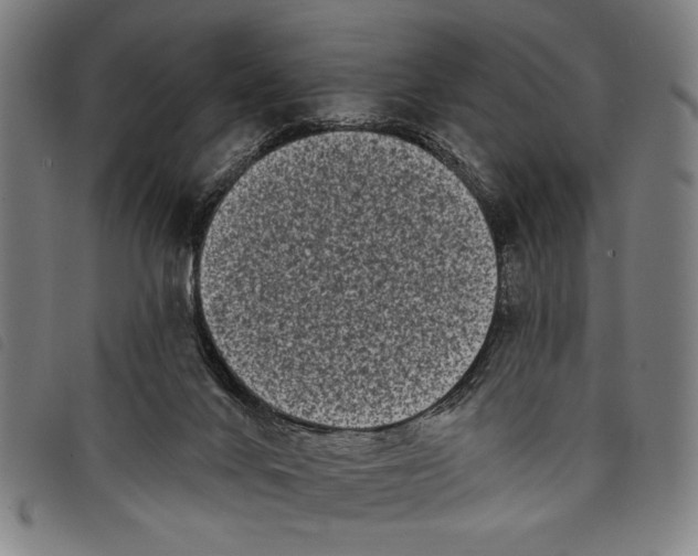 X0000097810024200804041346