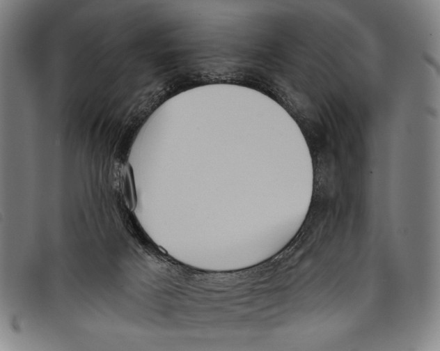 X0000097810025200804041346