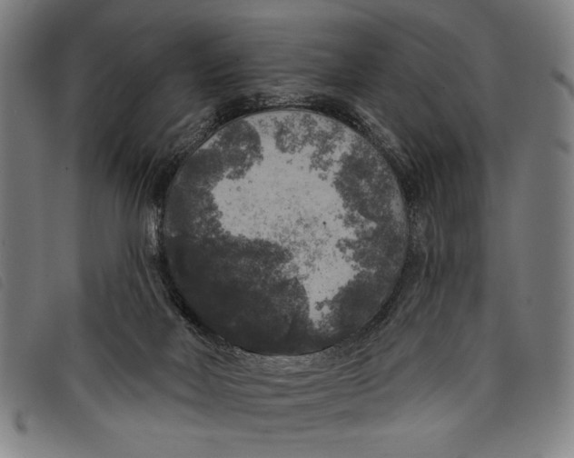 X0000097810026200804041346