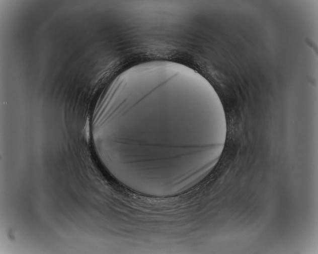 X0000097810027200804041346