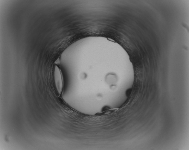 X0000097810029200804041346