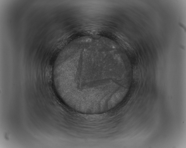 X0000097810030200804041346