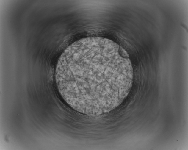 X0000097810038200804041346