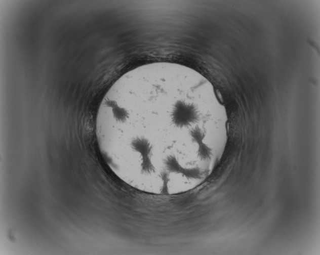 X0000097810040200804041346