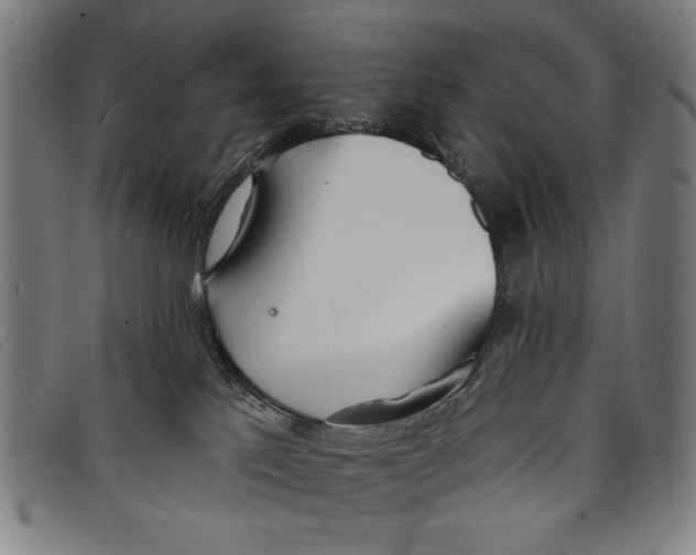 X0000097810041200804041346