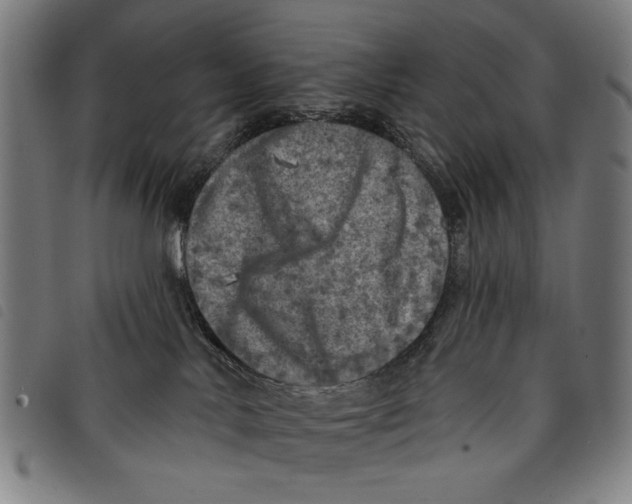 X0000097810042200804041346