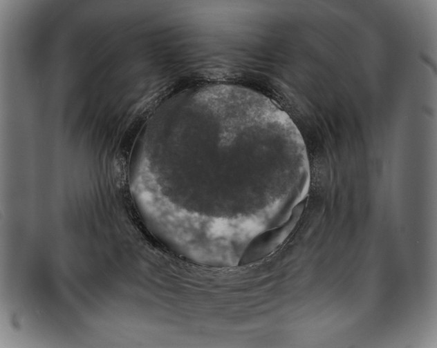 X0000097810043200804041346