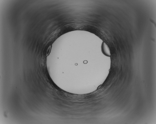 X0000097810044200804041346