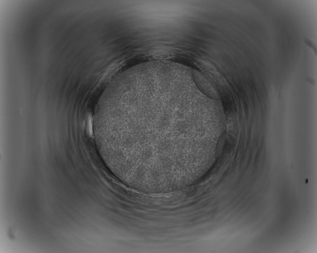 X0000097810046200804041346