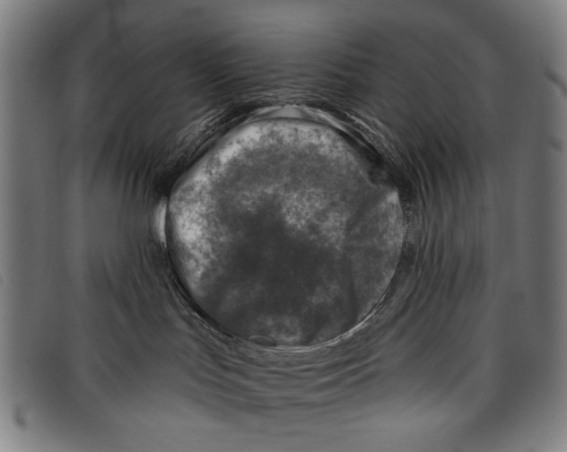 X0000097810047200804041346