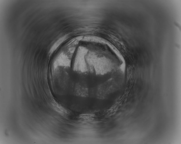 X0000097810051200804041345