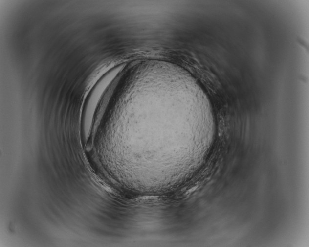 X0000097810052200804041345