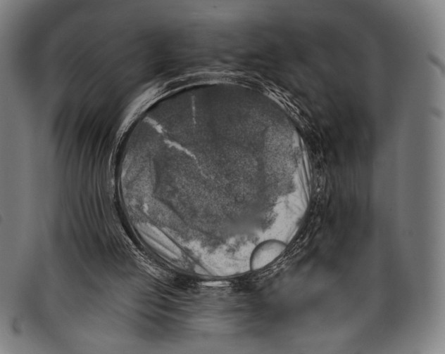 X0000097810053200804041345