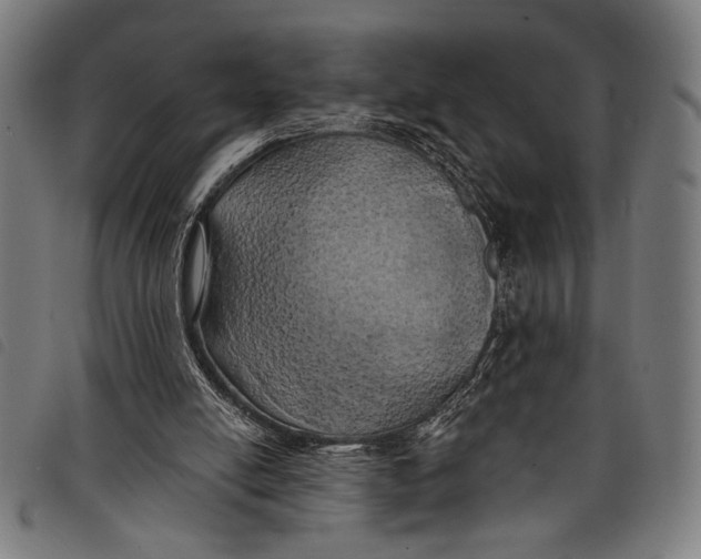 X0000097810054200804041345