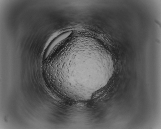 X0000097810056200804041345