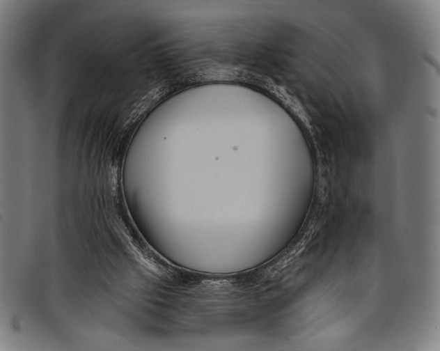 X0000097810057200804041345