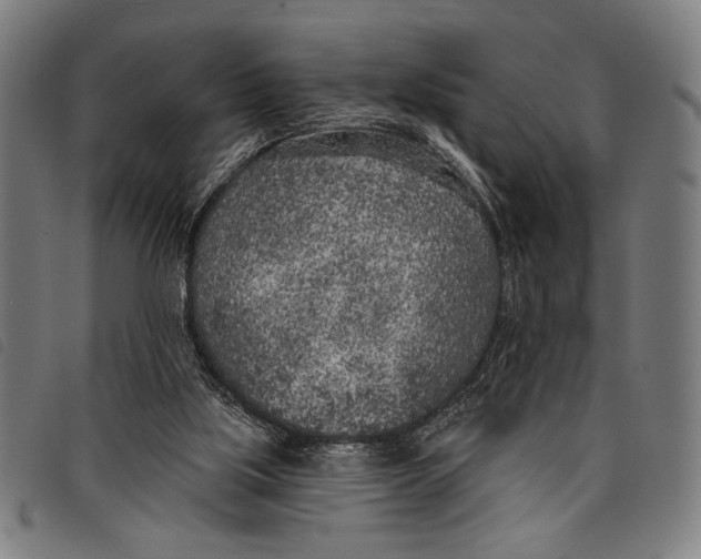 X0000097810059200804041345