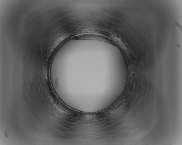 X0000097810060200804041345