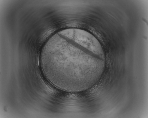 X0000097810062200804041345