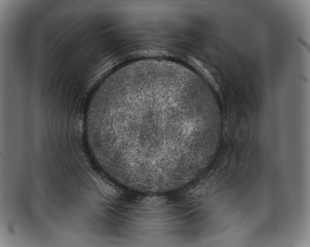 X0000097810063200804041345