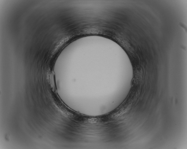 X0000097810064200804041345